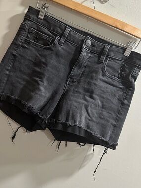 American Eagle Short